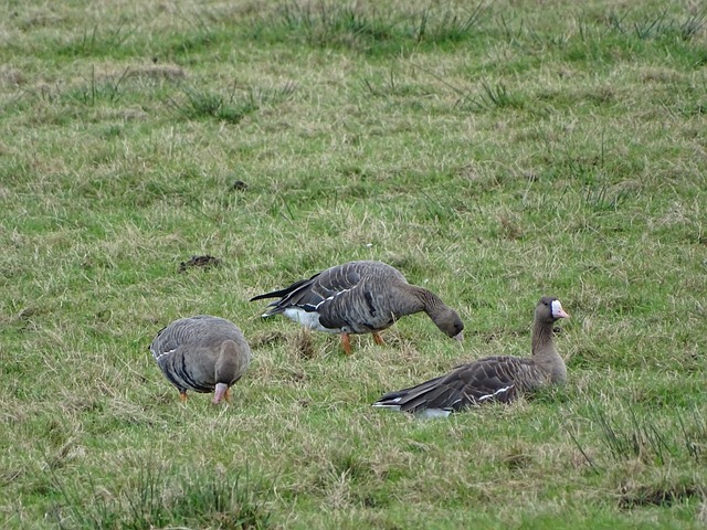 元宵节将至 传统元宵产销两旺.