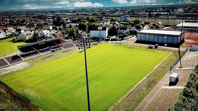 顶尖水平 顶尖水平