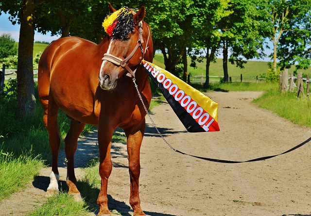 比赛积累 比赛积累